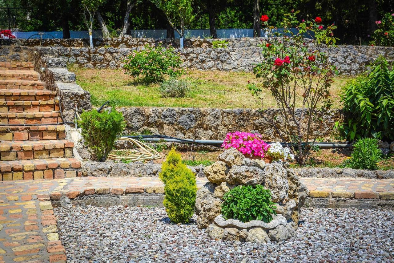 ذيسْخا Penelope Apartment Hotel المظهر الخارجي الصورة